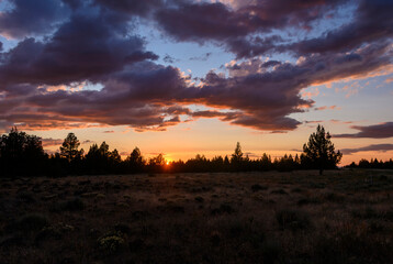 Sunset over a tranquil field with silhouetted trees and vibrant clouds in the evening sky