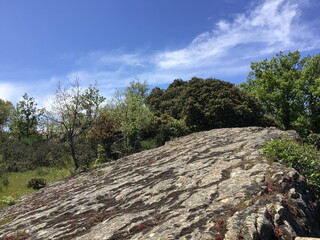 A rocky hillside with trees and a clear blue sky