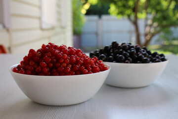 We have red and black currants growing in our garden, we love this berry and treat ourselves to it