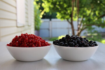 We have red and black currants growing in our garden, we love this berry and treat ourselves to it