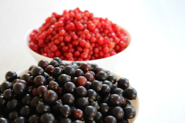 Red and black currants are two different types of berries that belong to the same genus. Both types...