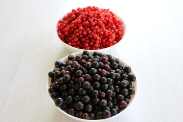 Red and black currants are two different types of berries that belong to the same genus but have...