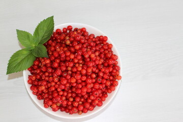Red currants are useful due to their rich content of vitamins, minerals, antioxidants and fiber. Contains vitamins A, C, E and antioxidants that protect cells from free radicals and prevent premature 