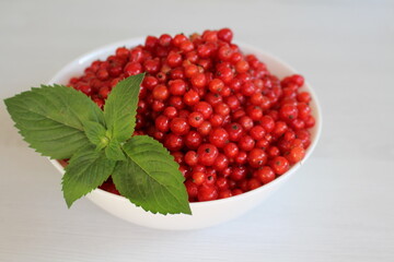 Red currants are useful due to their rich content of vitamins, minerals, antioxidants and fiber. Contains vitamins A, C, E and antioxidants that protect cells from free radicals and prevent premature 