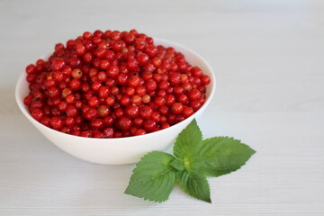 Red currants are useful due to their rich content of vitamins, minerals, antioxidants and fiber. Contains vitamins A, C, E and antioxidants that protect cells from free radicals and prevent premature 
