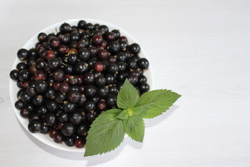 Blackcurrant is a source of vitamins and nutrients that have a beneficial effect on human health. It is rich in vitamins C, E, P, K, A, D and group B, and also contains iron, magnesium, phosphorus, zi