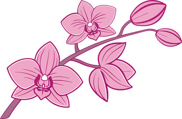 Pink orchid flowers on a branch floral botanical