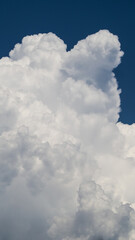 Cumulus congestus, par temps instable