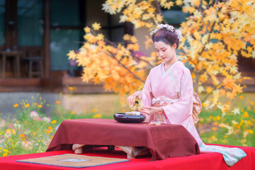 Asian woman wearing a traditional Furisode Kimono performs a tea ceremony happily beside a colorful, vibrant maple tree in a garden with the autumn colors.