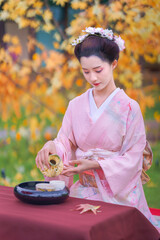 Asian woman wearing a traditional Furisode Kimono performs a tea ceremony happily beside a colorful, vibrant maple tree in a garden with the autumn colors.