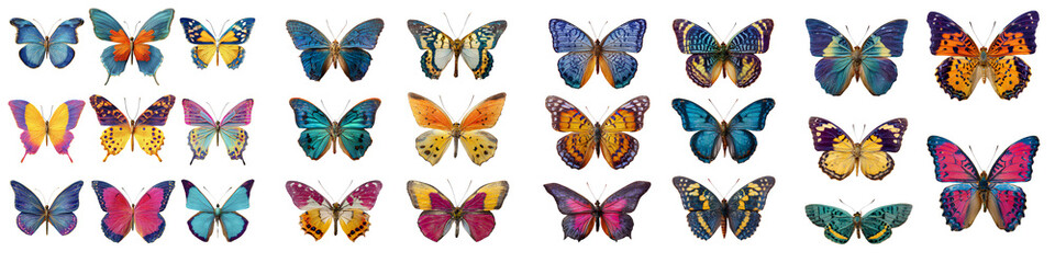 Set of colorful exotic butterflies in symmetrical top view, isolated on transparent background

