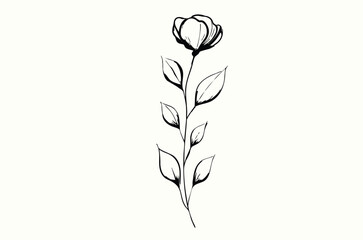 Obraz premium Simple Hand-Drawn Rose Illustration