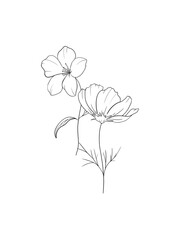 Hand drawn sketch drawing elegant isolated flowers ideal for coloring books, cards, packaging and decor.
Black silhouettes on white background .