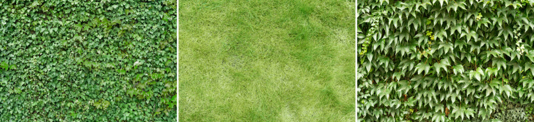 Narutal Green Grass Overlay Texture Pack Bundle Effect Surface