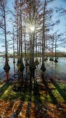 Hiking in Southern Illinois, Waterfalls and bluffs