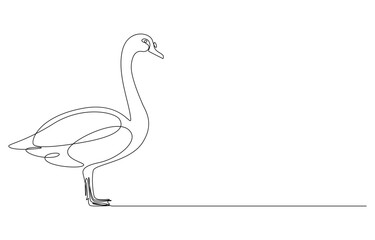 Swan continuous line art drawing
