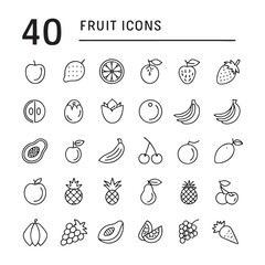 40 Line Art Fruit Icons Free Downloadable Vector Graphics