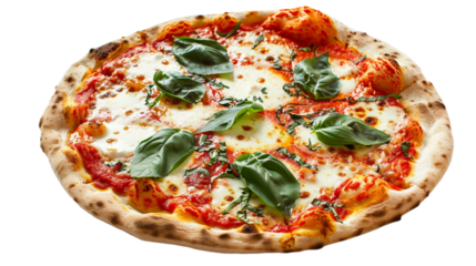 Quiet Solitary Portrait on the Transparent Background