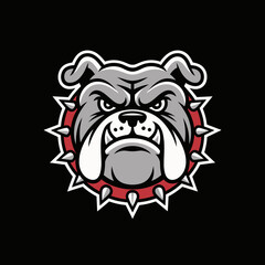 Bulldog head with spiked collar looks fierce. Mascot logo, animal aggression, canine graphic, sport team