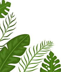 Tropical leaves corner vector illustration