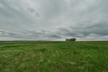 Green field under Storm cloud