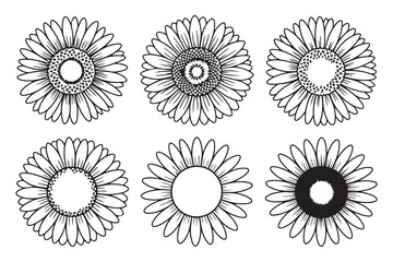 intricate sunflower line art collection: six detailed botanical vector illustrations perfect for coloring pages and graphic design