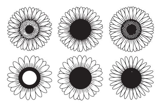 six hand-drawn sunflower designs in vector outline style for creative projects, printable coloring sheets and decorative motifs