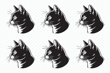 calico kitten on sunlit windowsill with pastel floral arrangement, indoor pet portrait in soft light vector