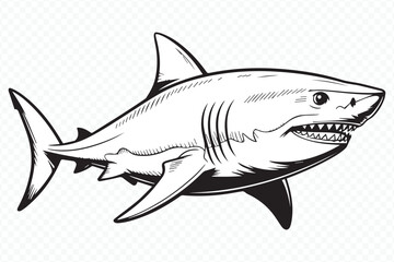 high-quality shark vector graphic with smooth curves and bold lines, perfect for educational, marine and ocean themes