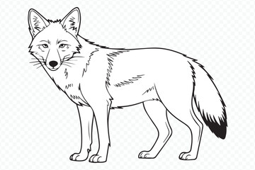 wildlife fox contour drawing minimalist black and white design for projects vector