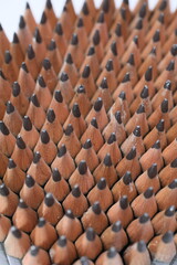 A colorful group of pencils arranged neatly, showcasing a variety of shades and sharpened tips