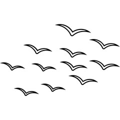 Outline Bird Group