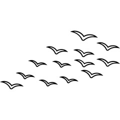 Outline Bird Group