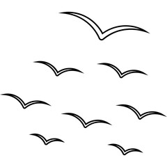 Outline Bird Group