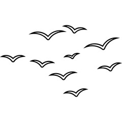 Outline Bird Group