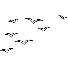 Outline Bird Group