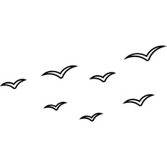 Outline Bird Group