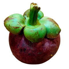 A ripe mangosteen fruit with a dark purple rind and a green stem crown on top.