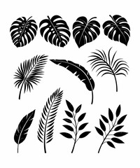 Set of tropical leaf silhouettes in black and white including monstera, palm, banana, and fern...