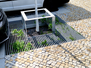 parking lot protect tree damage. even roots hate parking on and above them. fencing with wooden...