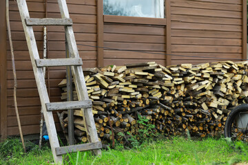 Stacked Firewood and Old Wooden Ladder Against Rustic Shed Wall