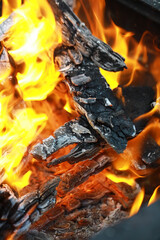 Close-Up of Burning Wooden Logs in Fire Pit with Vibrant Flames and Charred Ashes