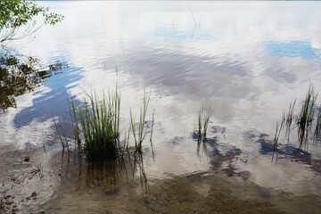 Serene Lakeside View with Calm Water Reflection and Grass Blades