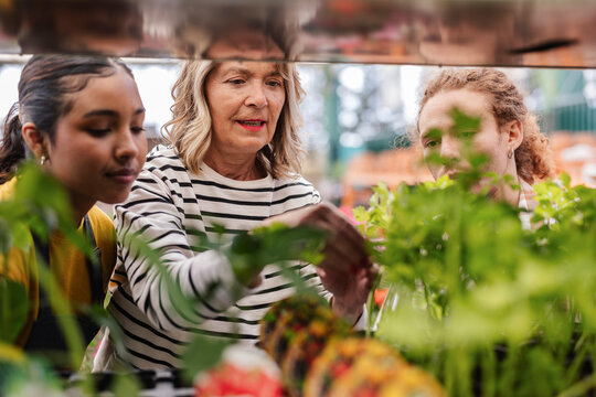 Florist assisting customers with plant selection outdoors