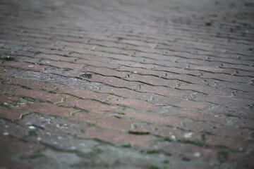 Obraz premium Textured Weathered Brick Pavement Close-Up with Moss and Cracks