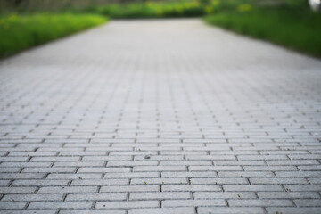 Empty Stone Paved Pathway in Park with Green Surroundings in Springtime
