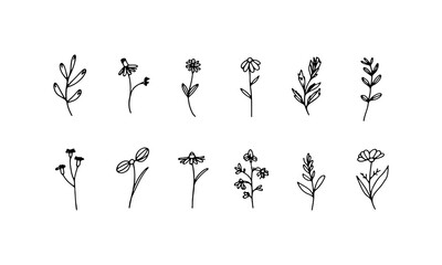 Botanical Accent Collection. A balanced mix of tiny floral elements for use in icons, decorative lines, and subtle backgrounds.