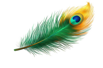 Majestic peacock feather showcasing vibrant colors and intricate details isolated against a transparent background