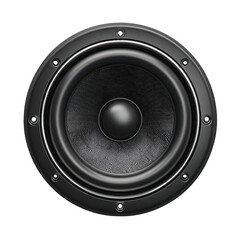 Close-up of a black speaker cone (6)