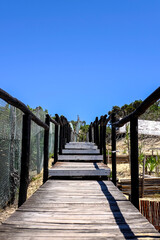 Wooden walkway with rustic handrails leading through coastal dunes under a vibrant blue sky....